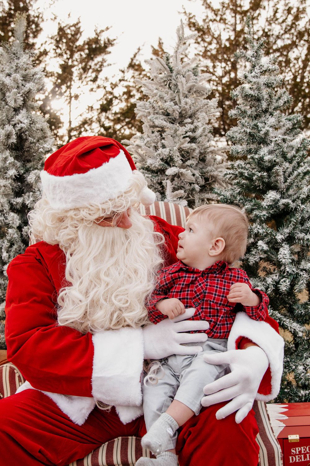 A magical Christmas moment set against a backdrop of snow-frosted evergreen trees.
