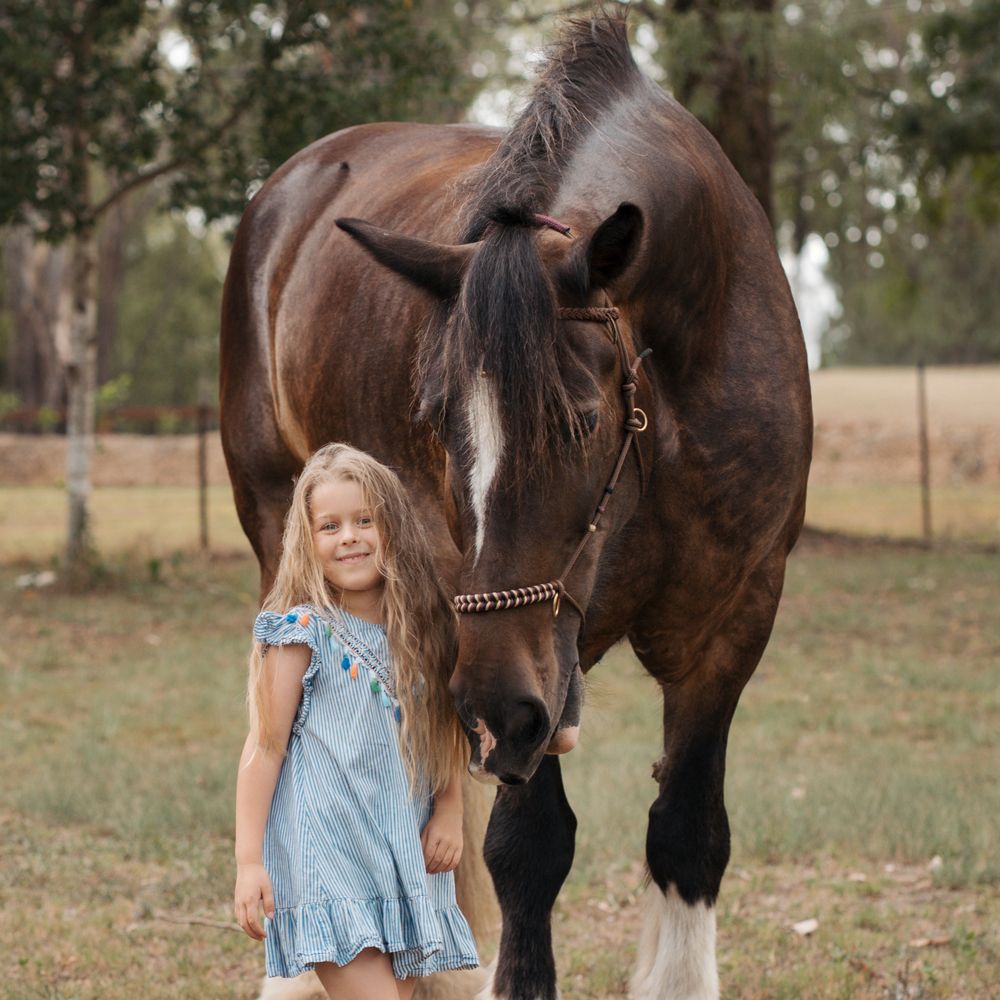 Young child in blue dress standing next to a dark brown horse in a pastoral outdoor setting during a photoshoot with horses in sydney