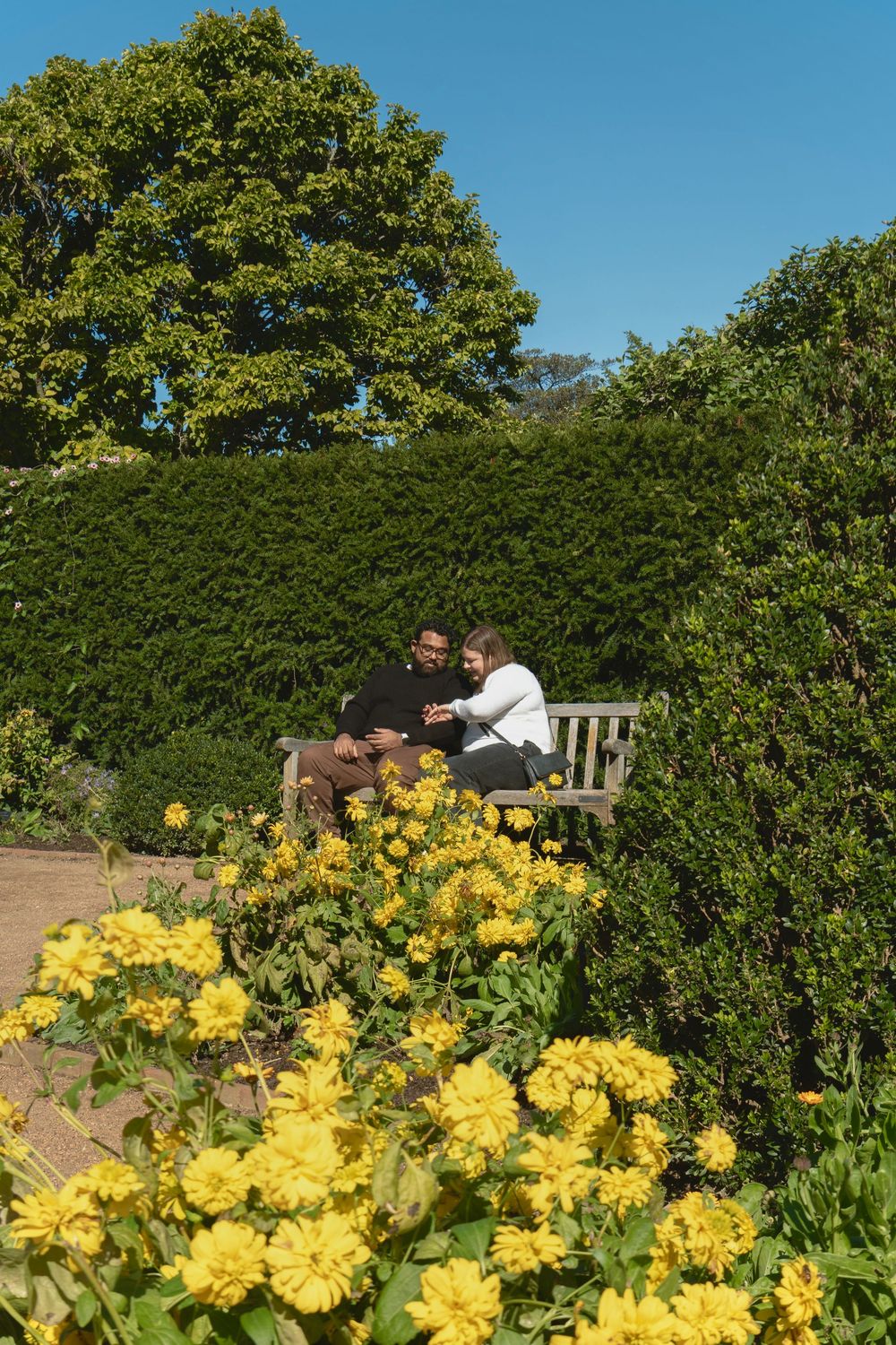 outdoor surprise proposal photoshoot in chicago IL at chicago botanical garden.