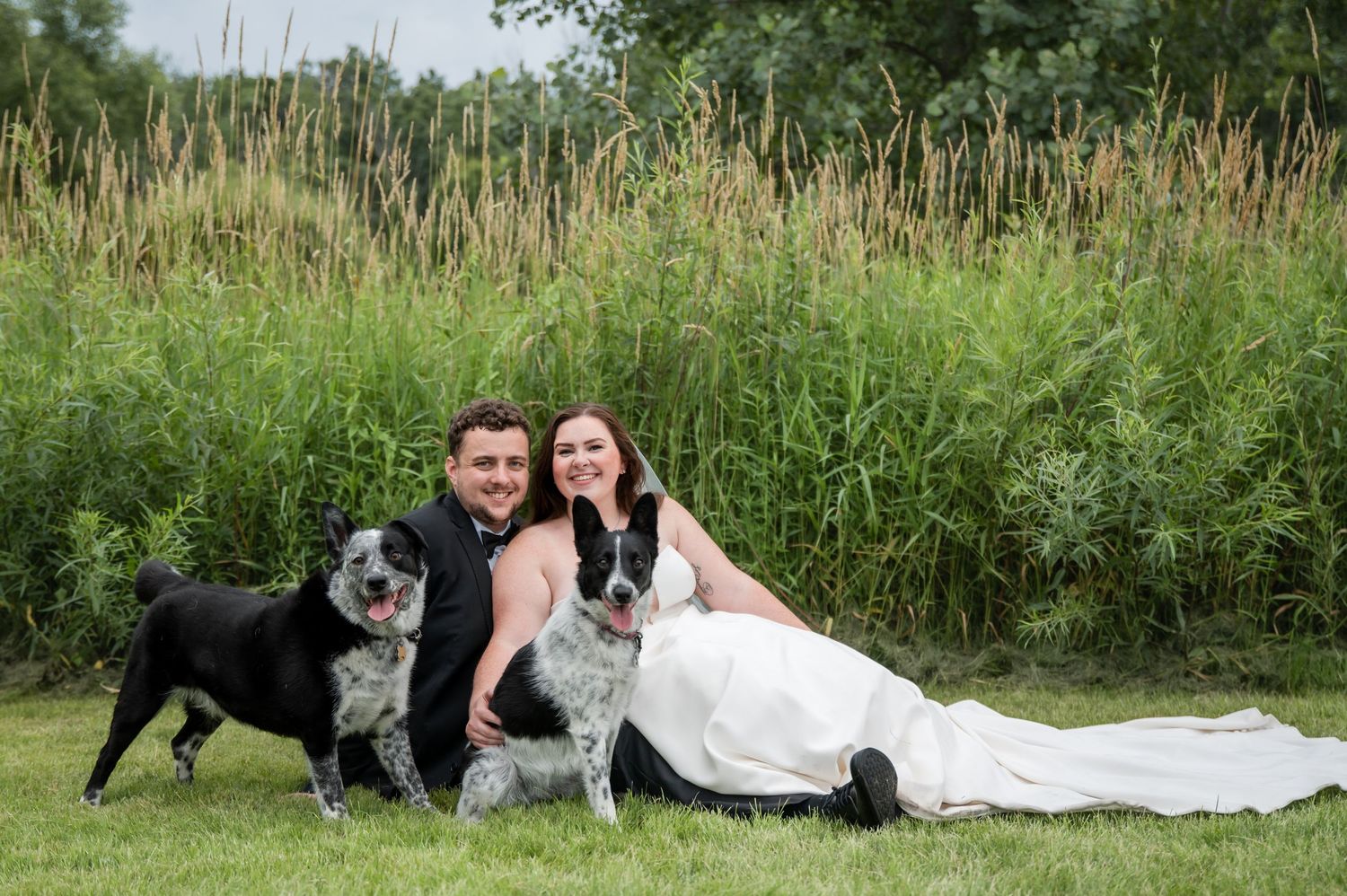 A couple poses with their dogs in a lush green field during a summer photo session.