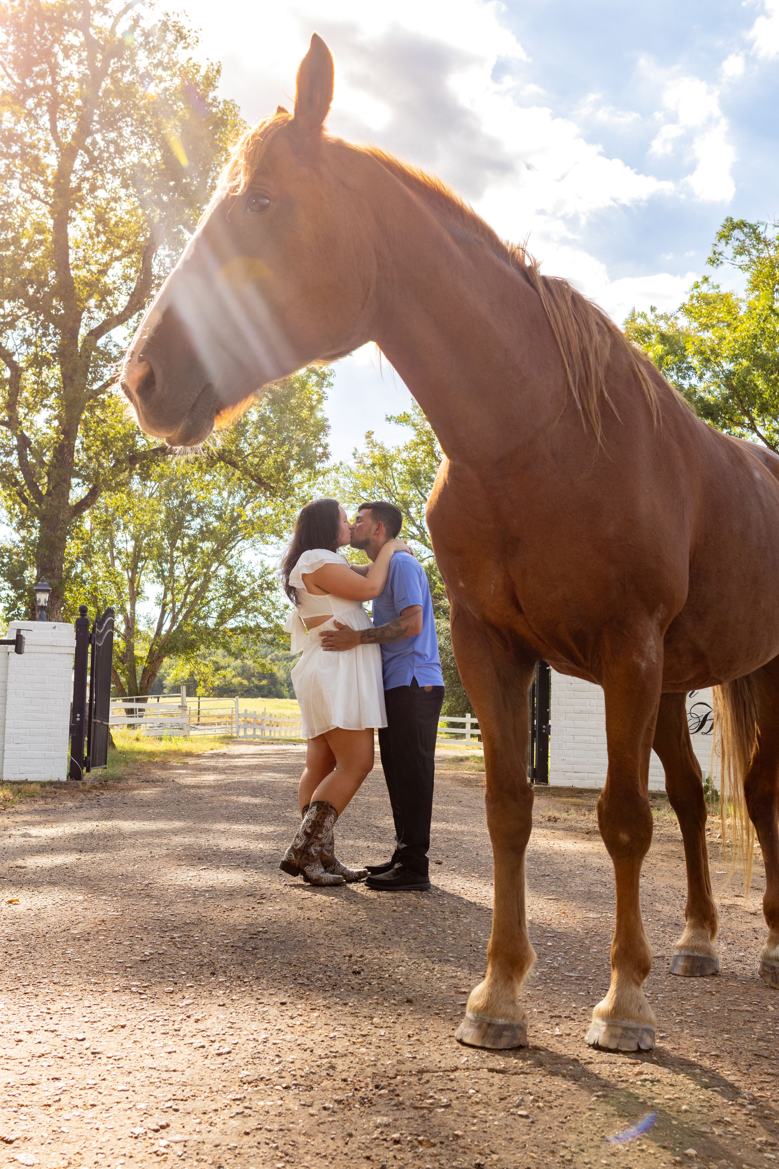A couple shares a romantic kiss behind a chestnut horse on a sunny ranch path surrounded by lush green trees.