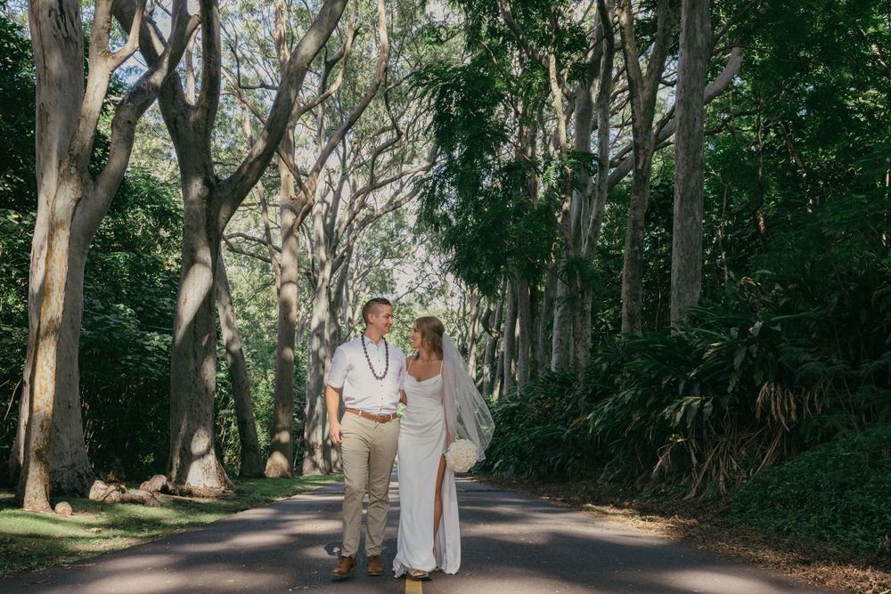 A couple walks together on a tree-lined path through a beautiful eucalyptus forest.