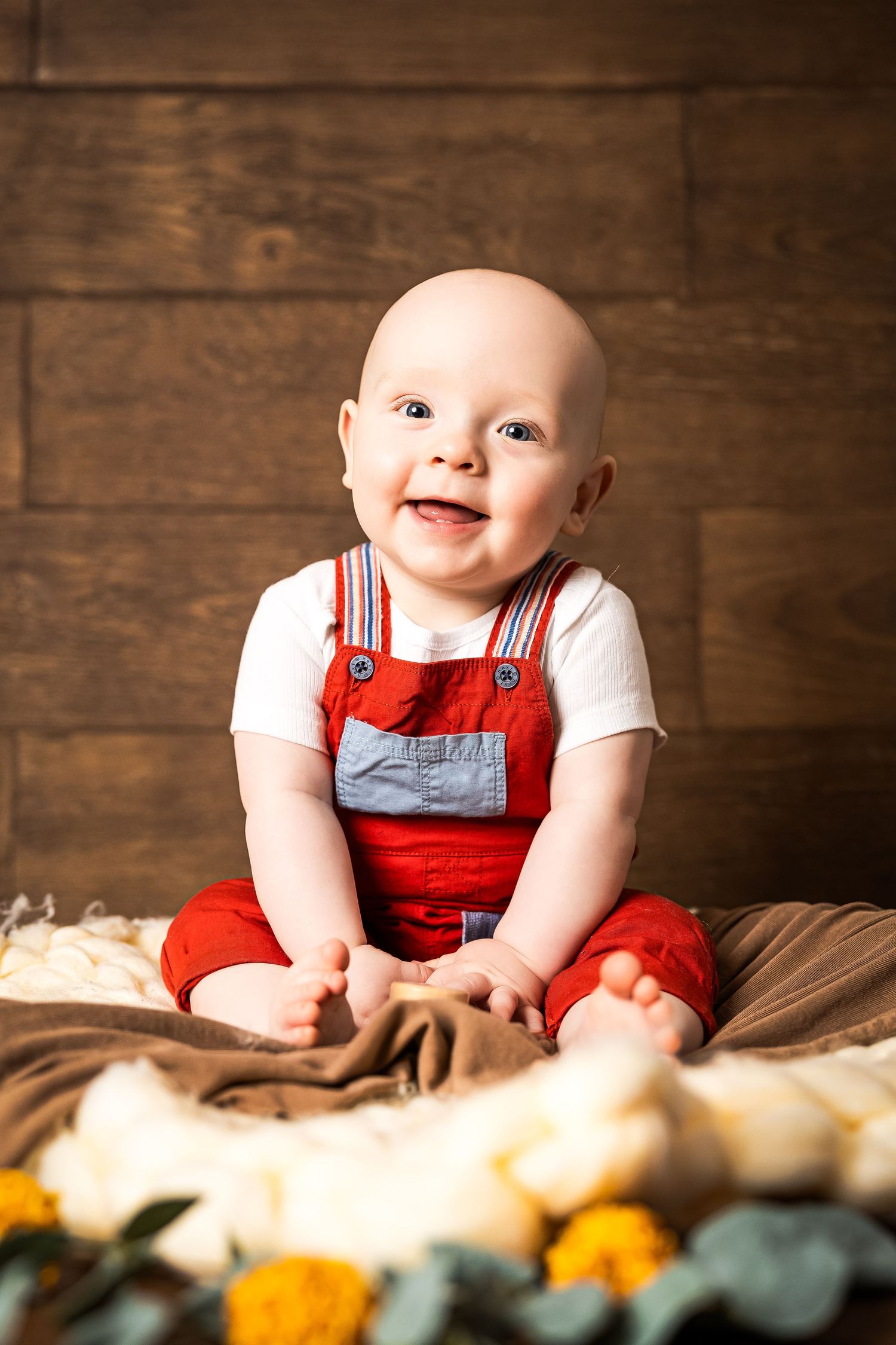sitter session on the wooden background