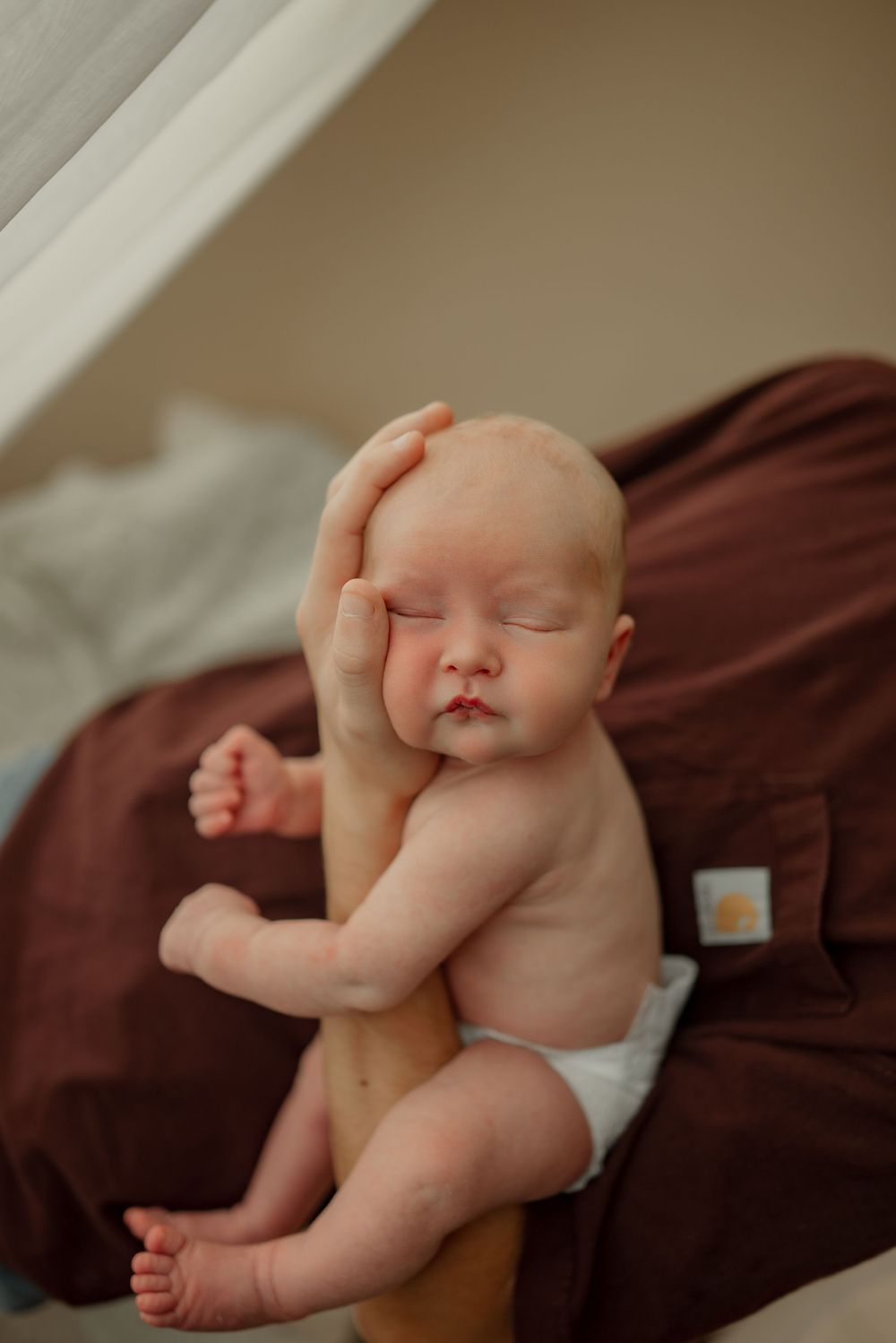 New dad shows off newborn baby boy perched on his forearm during studio newborn session in Clarksville, Tennessee.