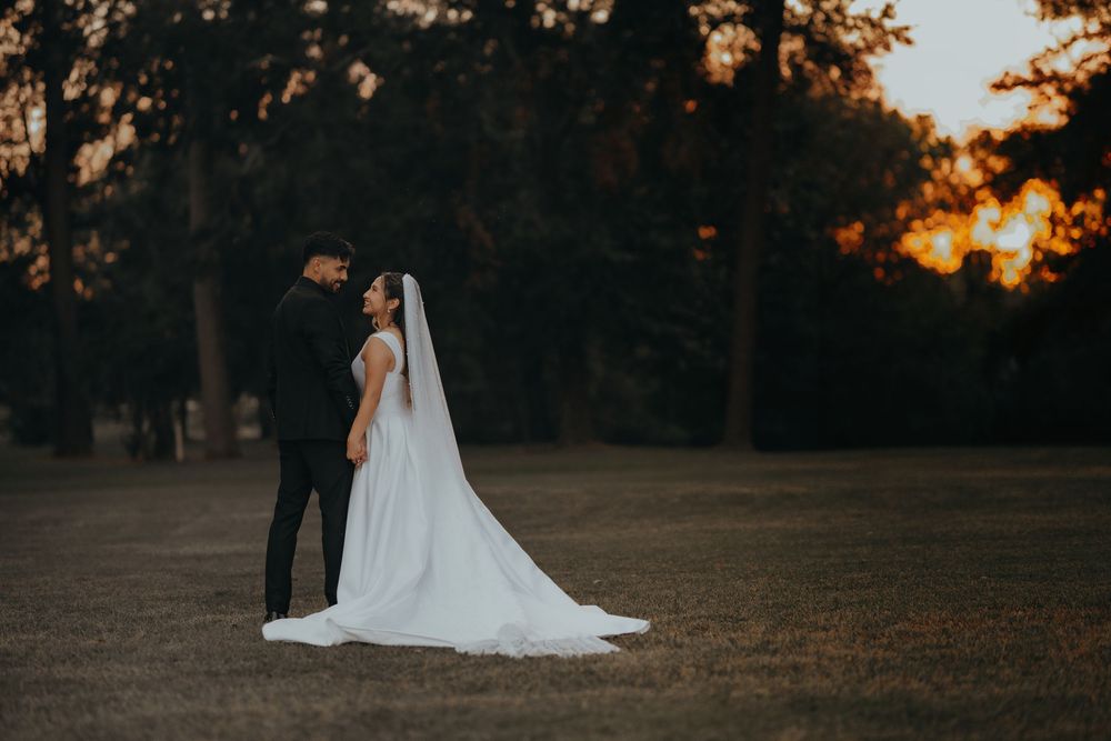 Scenic outdoor wedding photos captured during golden hour with trees in the background.