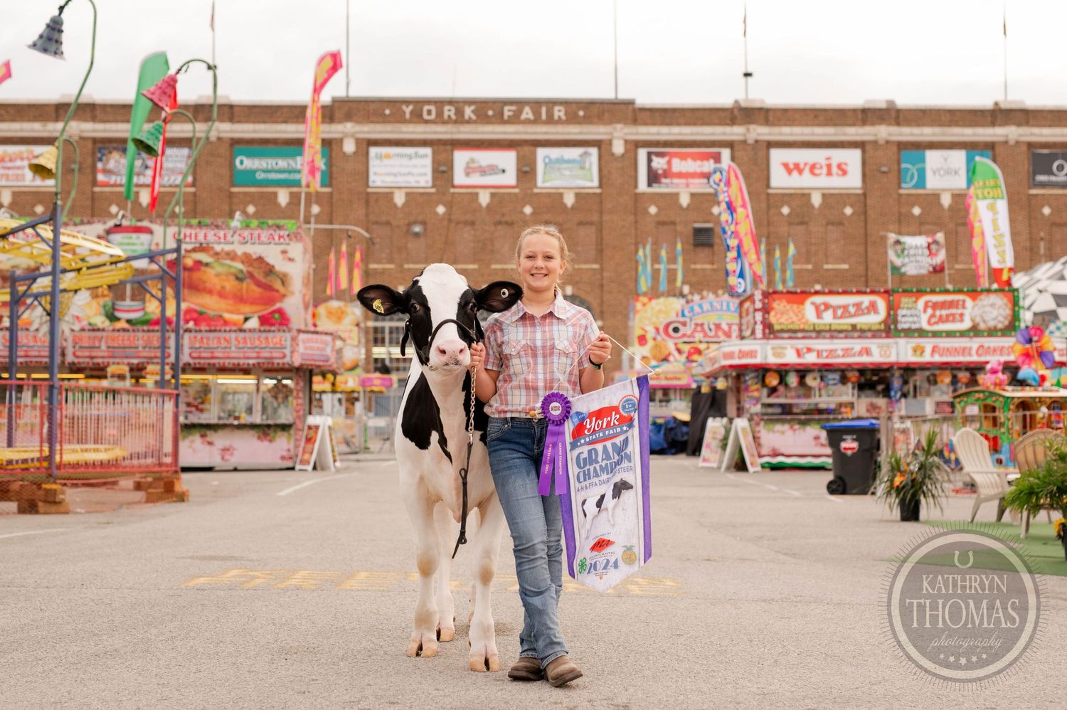 Person with black and white dairy cow at county fair with carnival decorations and vendor stalls.