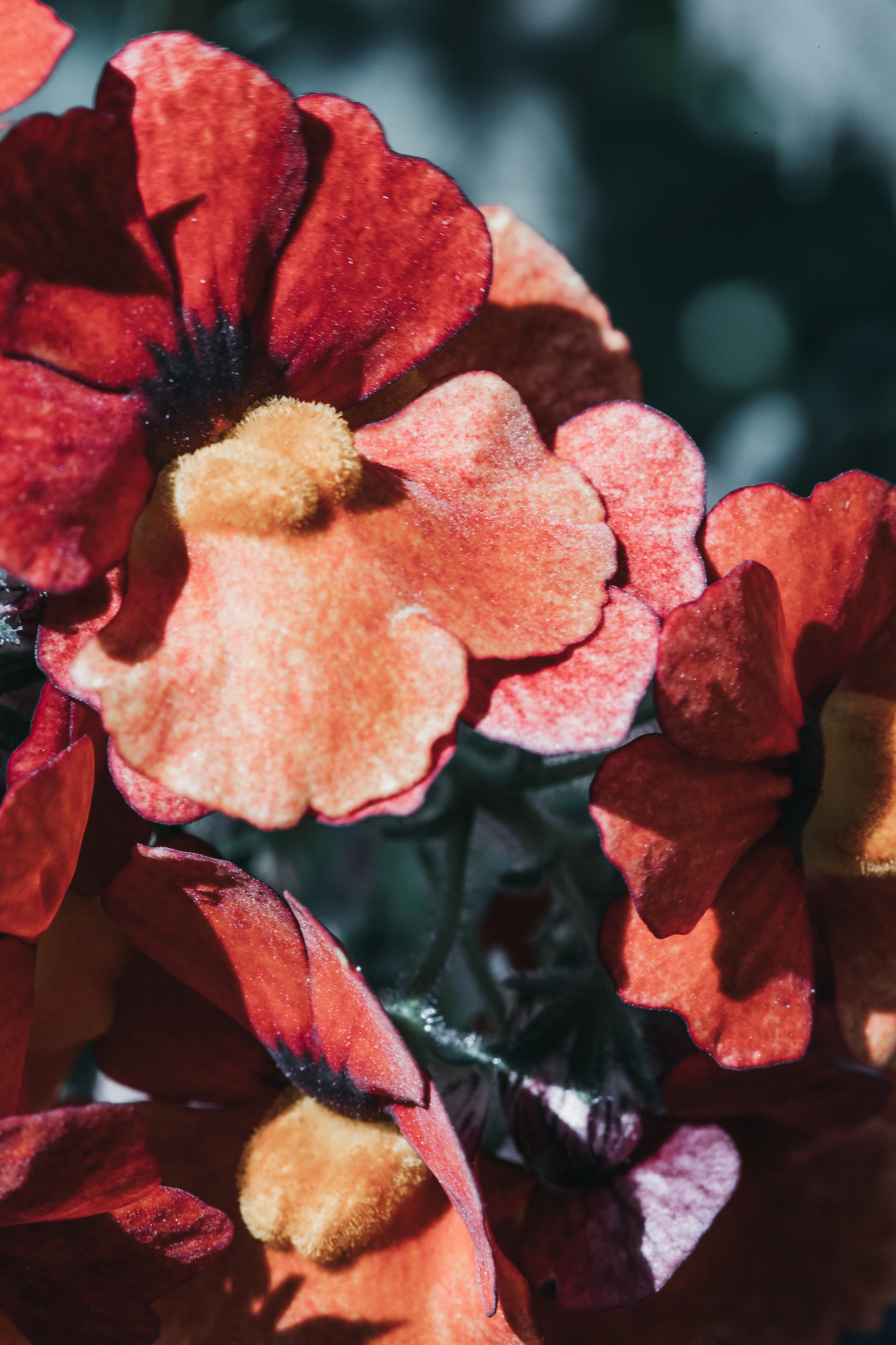 Travel Photographer in Panama City Florida. Nature photos in the Florida Panhandle: Beaches, Bayou, Natural Springs, Skies, Plants, and more