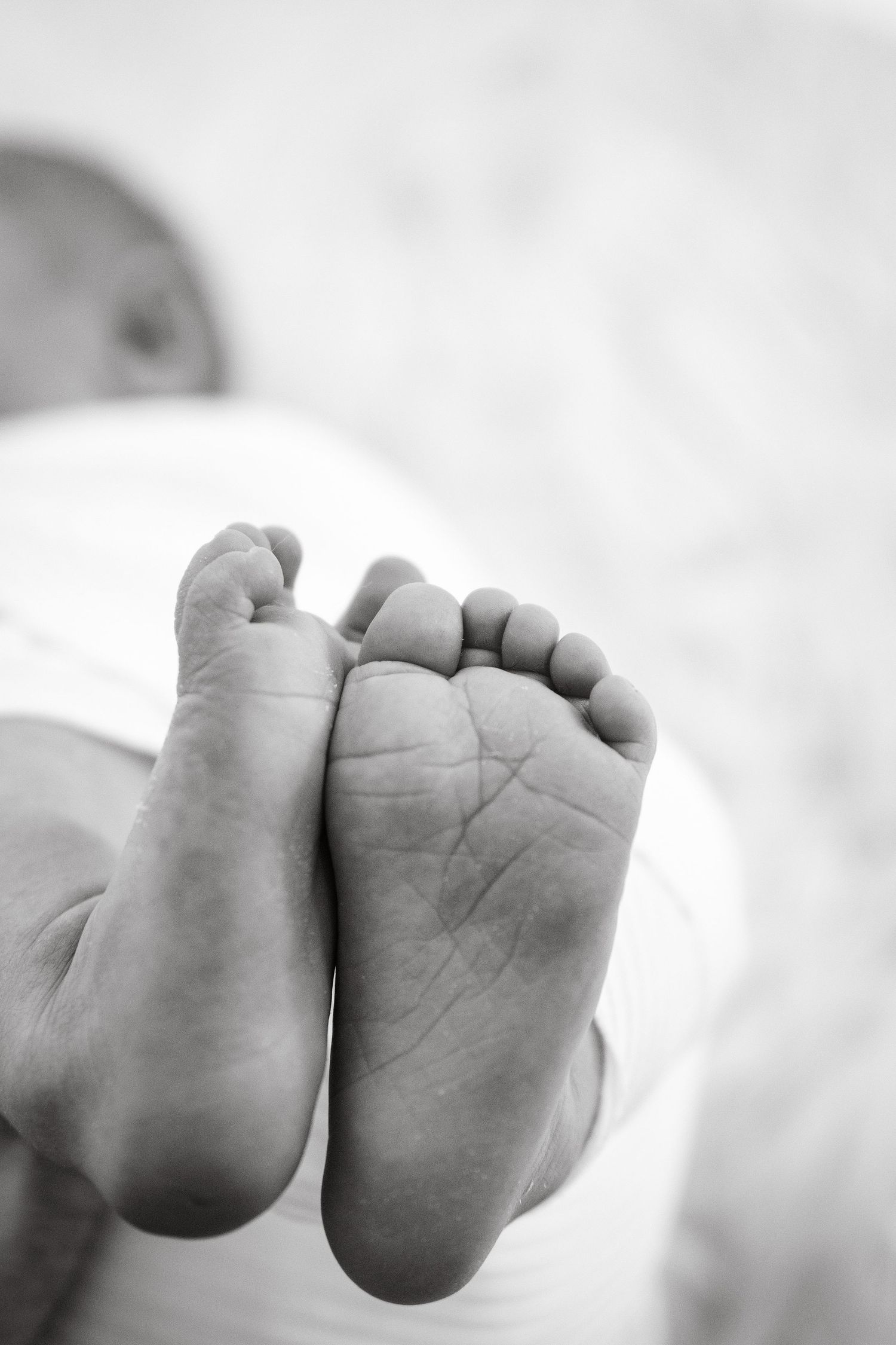 black-and-white close-up of newborn baby feet, softly curled.