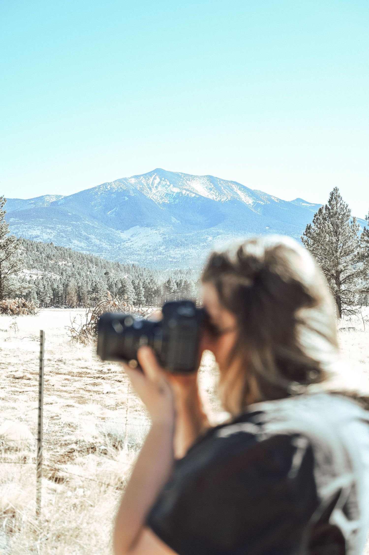 Marketing and branding photo shoot of girl with camera in nature