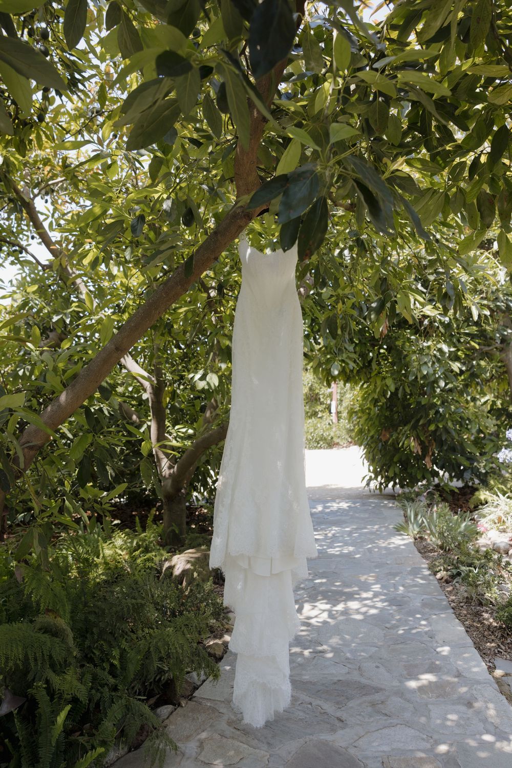 White wedding dress hanging from a tree branch in a lush garden pathway, displayed outdoors in natural sunlight.