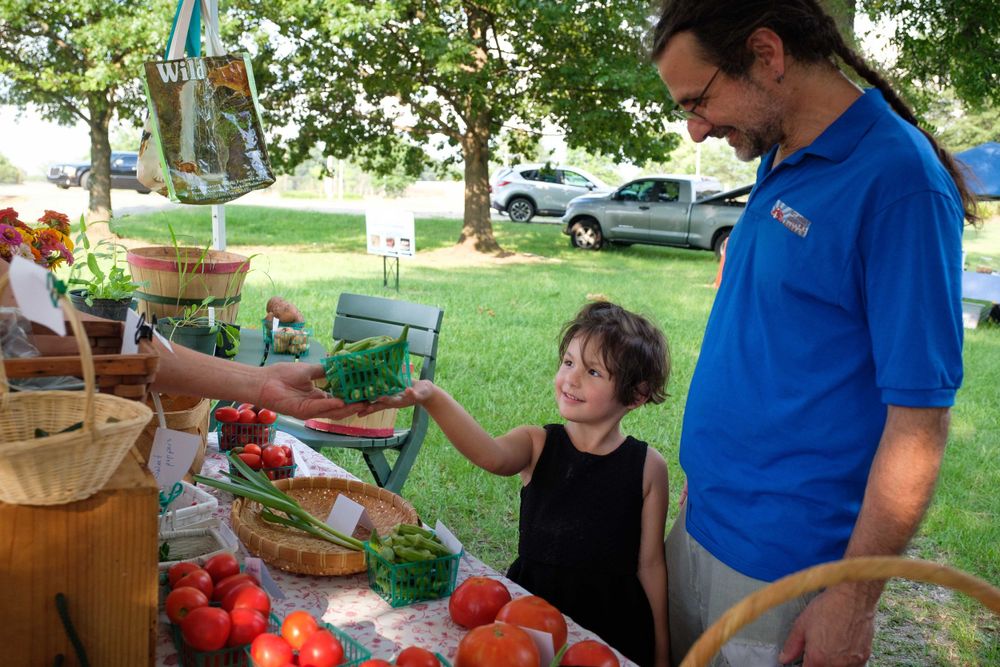 Shopping for fresh tomatoes and produce at an outdoor farmers market stand.
