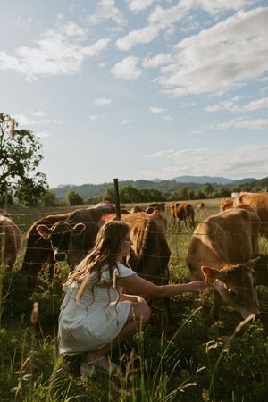 A person in overalls reaches through a fence to pet brown cows grazing in a pastoral countryside setting at sunset.