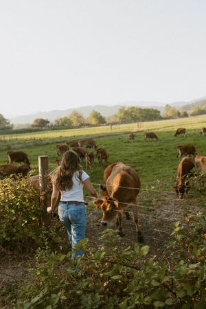 A person in jeans and white top stands in a grassy field among grazing brown cows during golden hour.