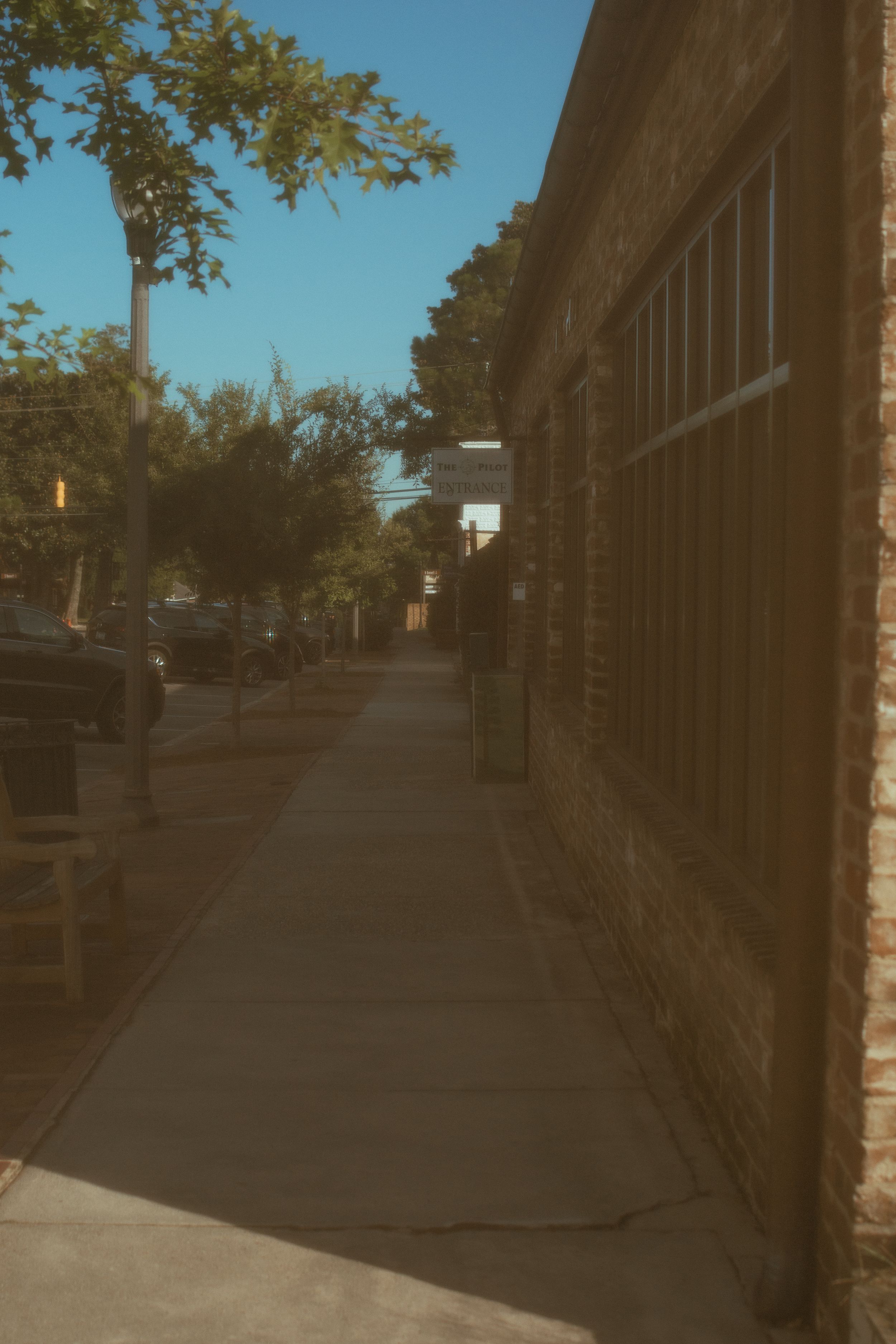 charming tree lined street in a small southern town on a sunny day