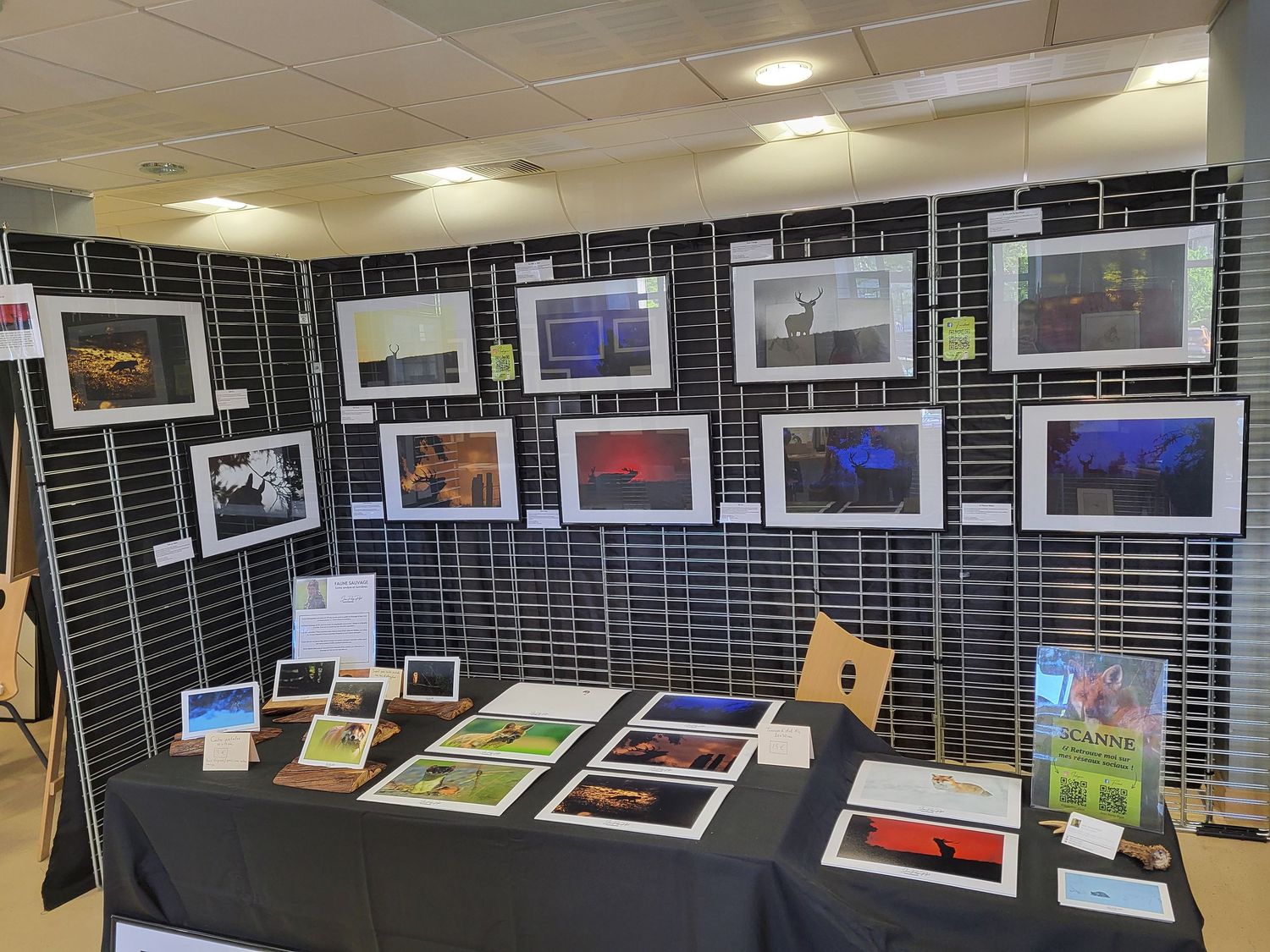 Photography exhibition display with multiple framed prints mounted on black grid walls.
