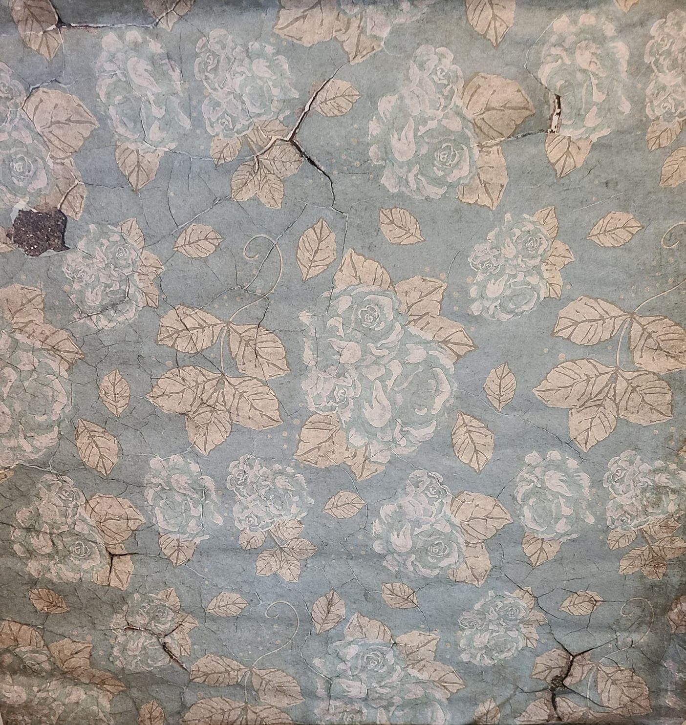 Vintage wallpaper with faded blue and beige rose pattern showing cracks.