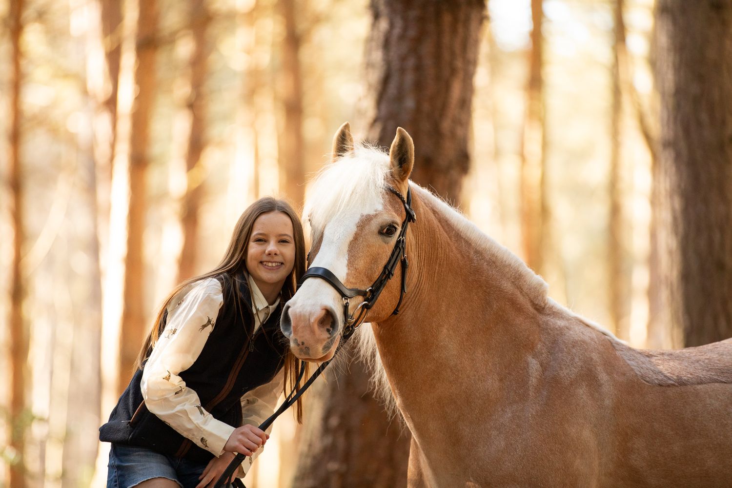 A dark bay horse with a striking white blaze poses against a black background in a dramatic portrait-style photograph.