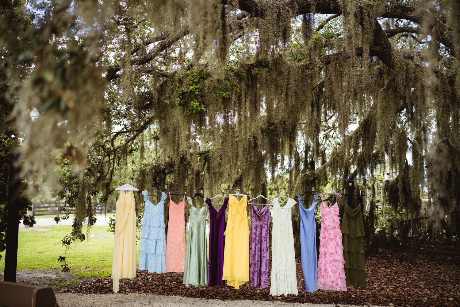 Colorful bridesmaid dresses hanging from Spanish moss covered trees in a Southern garden setting.