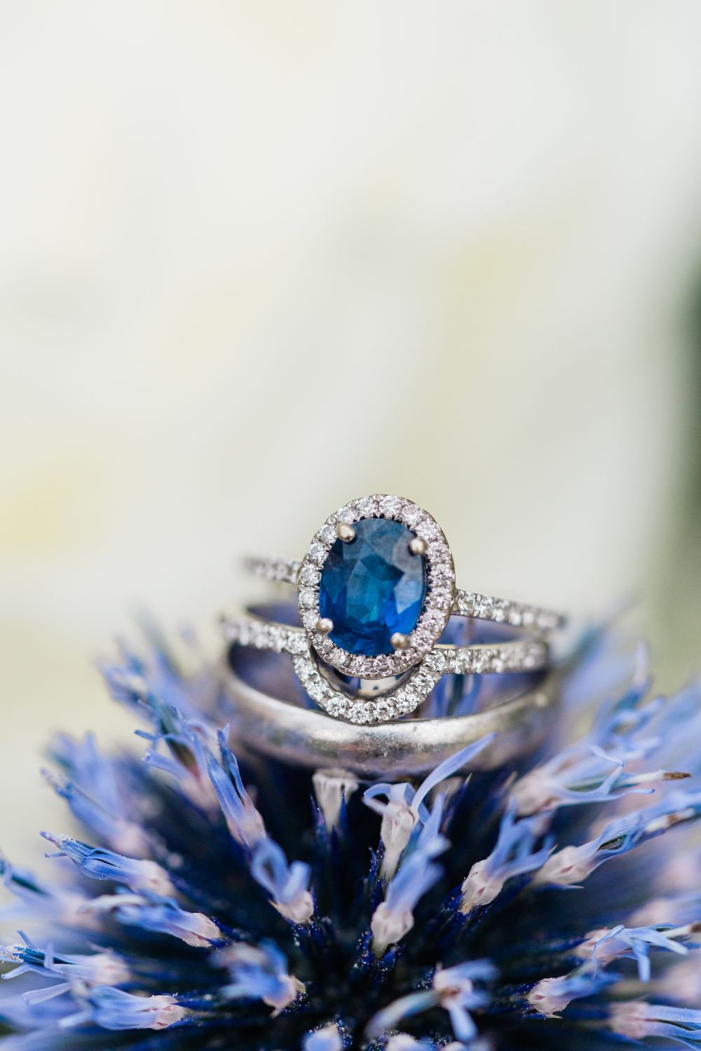 Stunning sapphire and diamond engagement ring photographed on a purple flower blossom.
