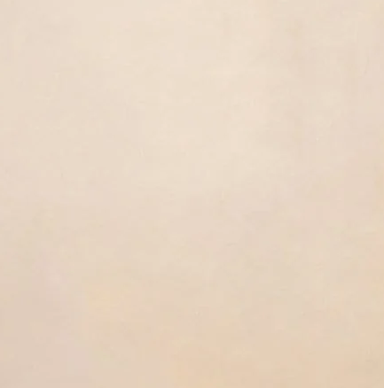 A plain beige or cream colored textured background with a subtle matte finish.
