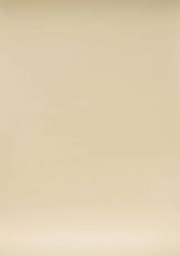 Solid beige colored background with smooth gradient texture.