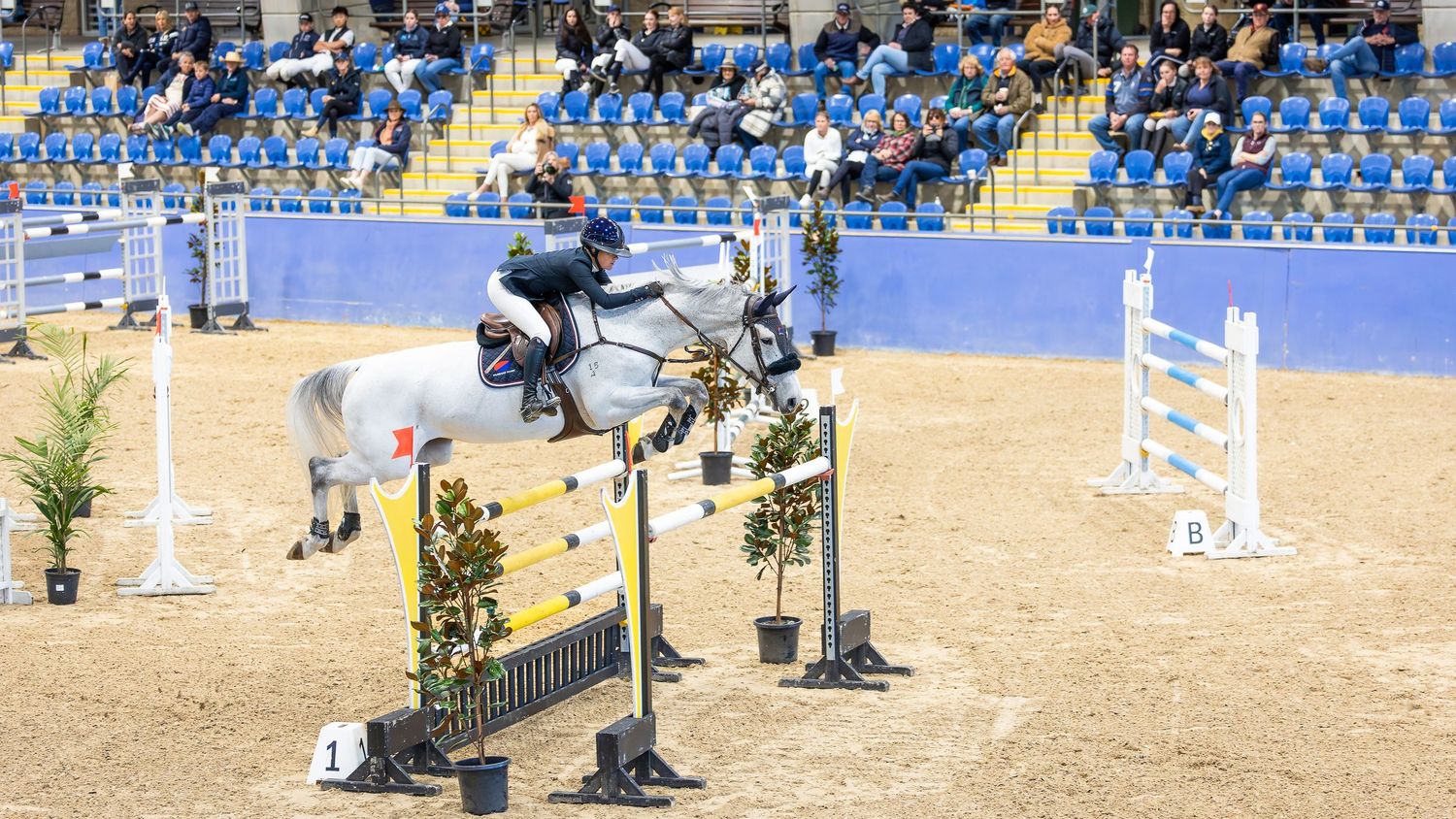 Jamie Winning-Kermond & Tulara WAT Colblensky (or Juno) in the Warm Up Grand Prix at Waratah Showjumping. © Simon Scully, 2025.