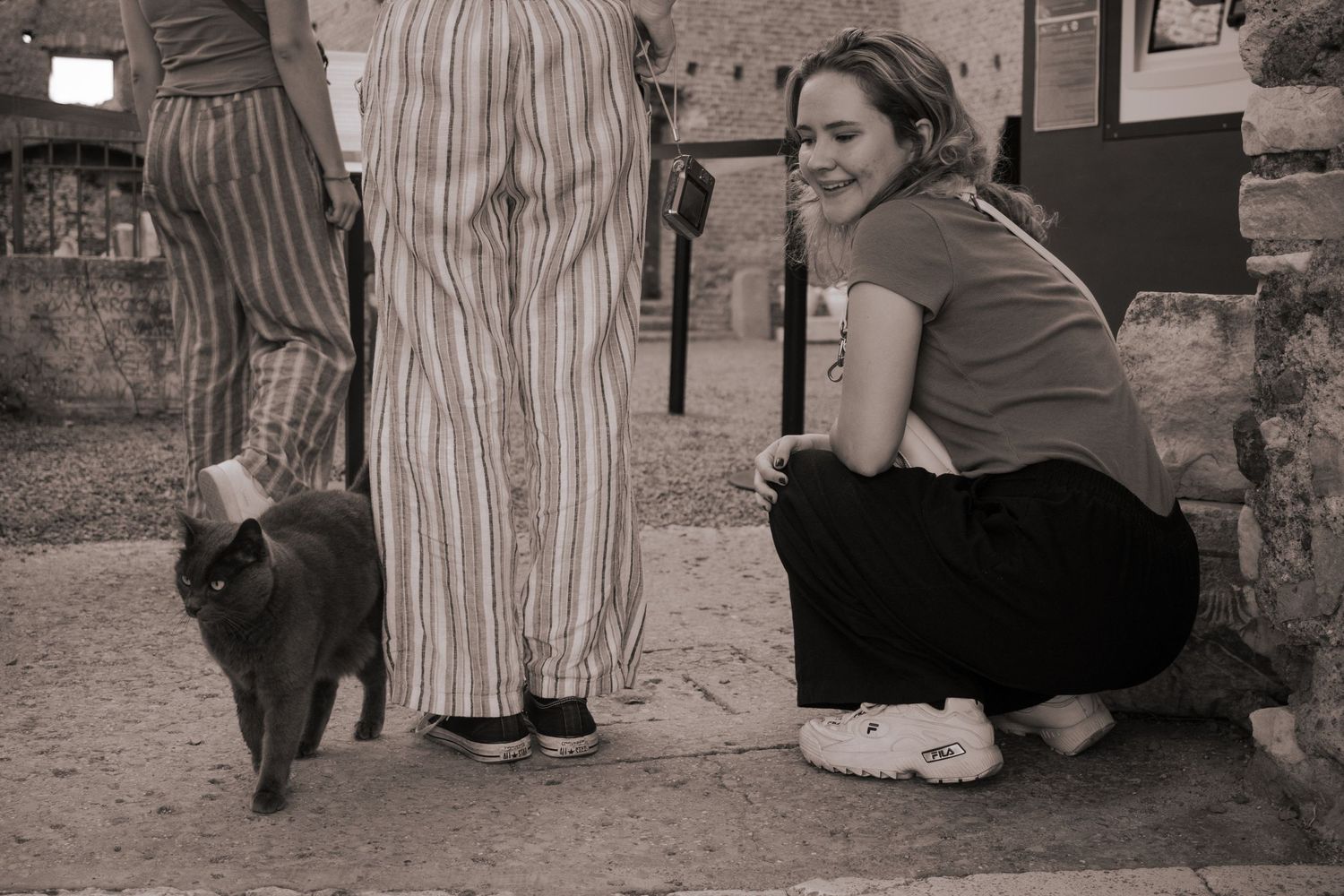 A gray cat on the streets of Rome.