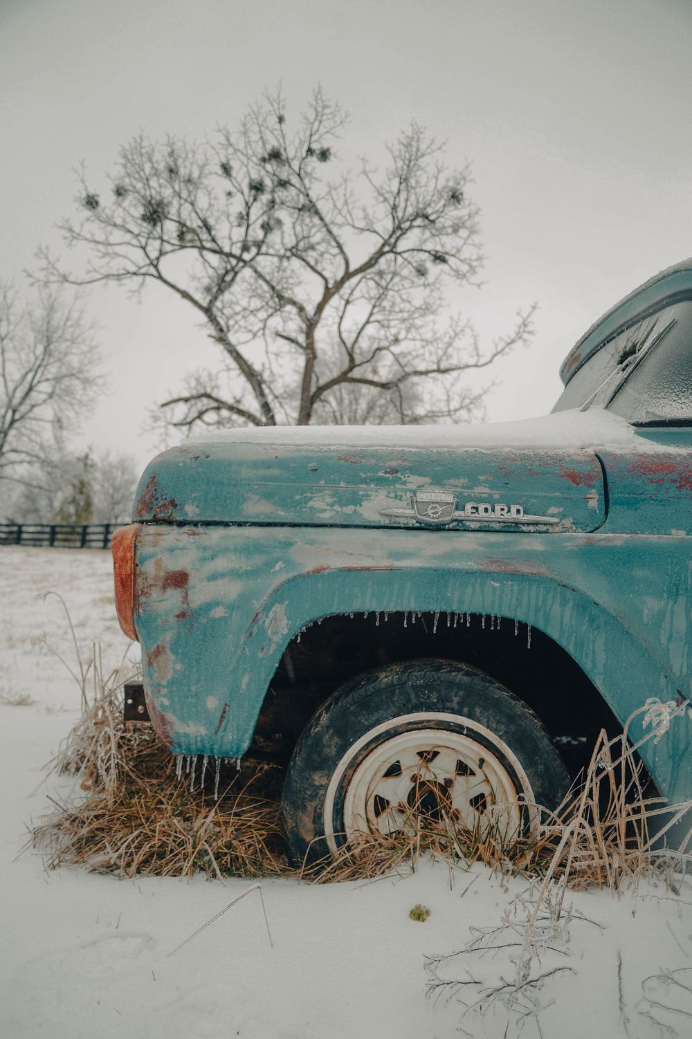 Vintage turquoise car partially buried in snow with tall grass and bare winter trees in the background.
