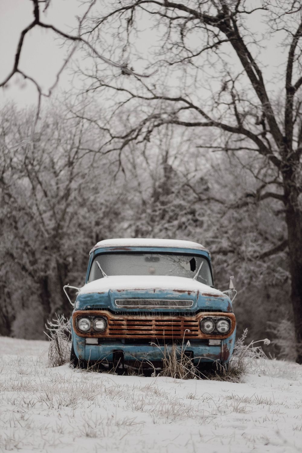 Three vintage cars abandoned in a snowy field with bare winter trees in the background.