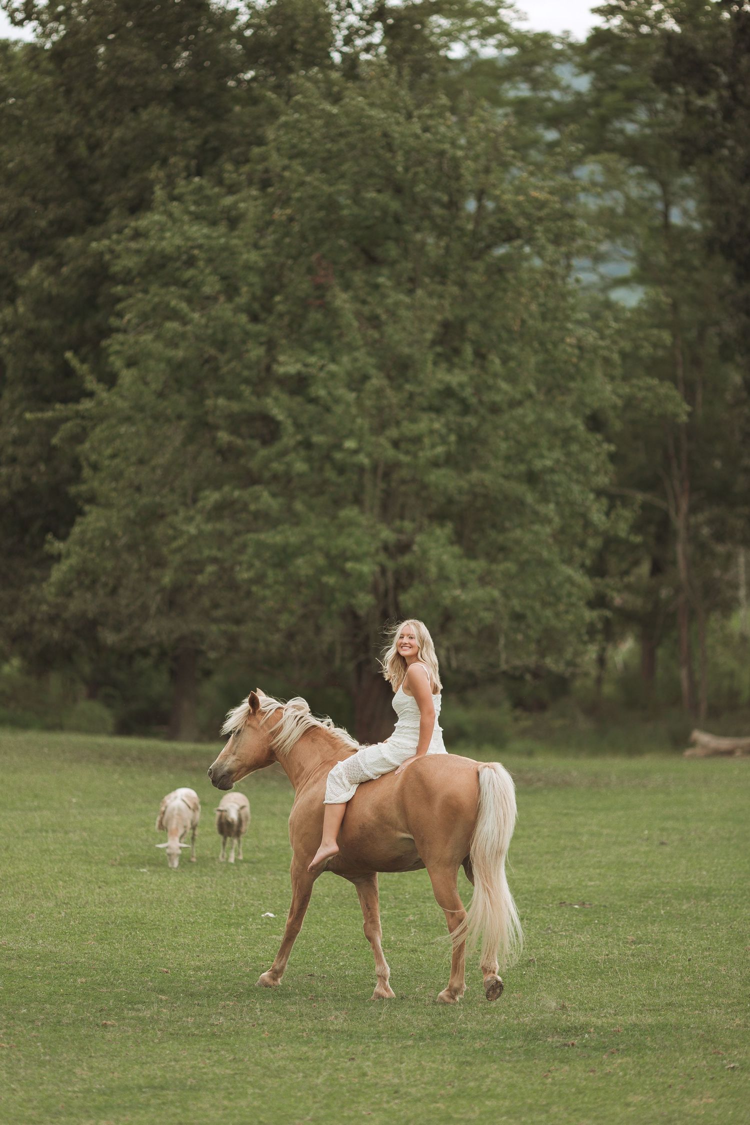Senior Photographer in Altoona PA, Senior Photographer in Pittsburg PA, Senior Photographer in State College PA, Senior Photographer