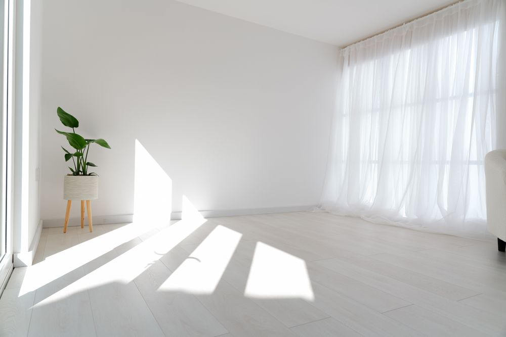 Minimalist white room interior with sunlight casting geometric shadows and a potted plant on wooden stand.