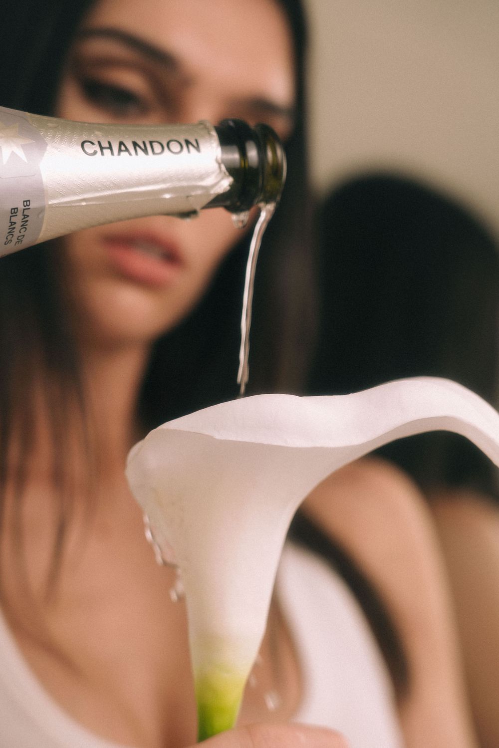 Chandon champagne being poured into a white calla lily.
