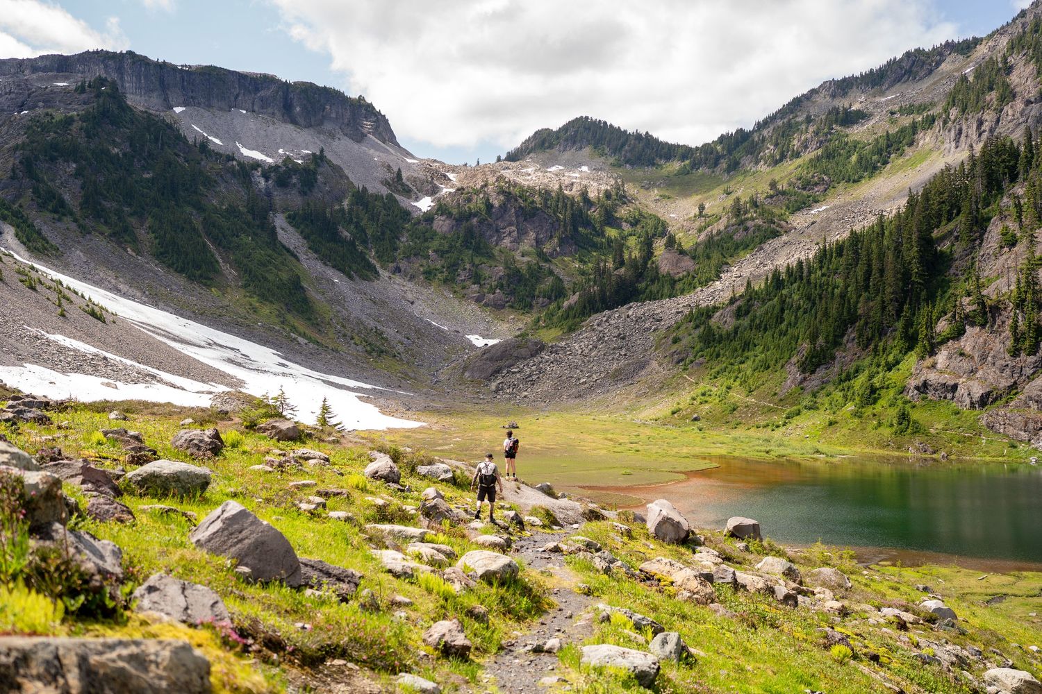 Hikers explore an alpine lake surrounded by snow-capped mountains and wildflowers.