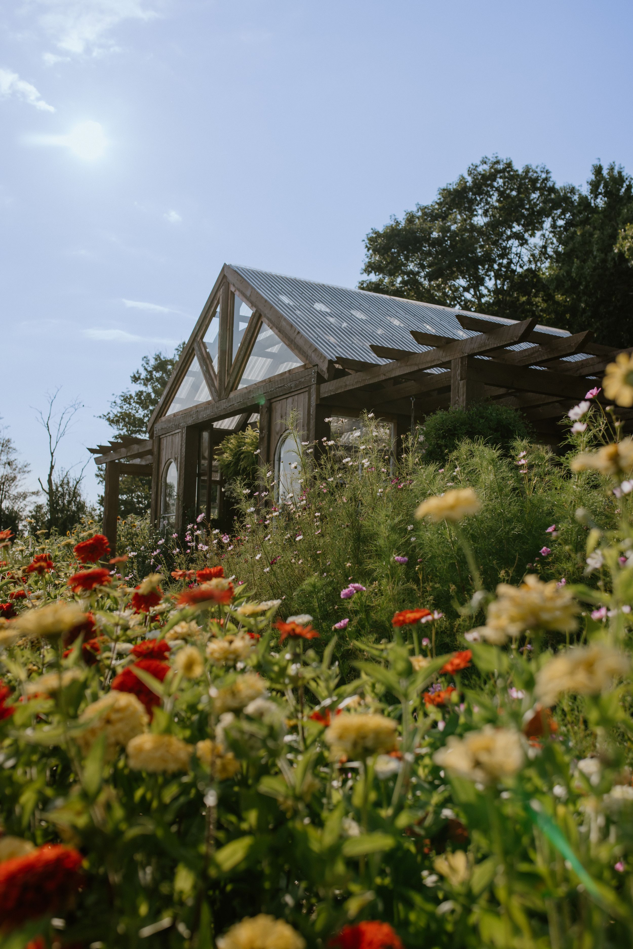 Greenhouse on Strawberry Lane, Family Session, Flower Garden, Annapolis Valley, Nova Scotia, Halifax Photographer, Belleville Photographer