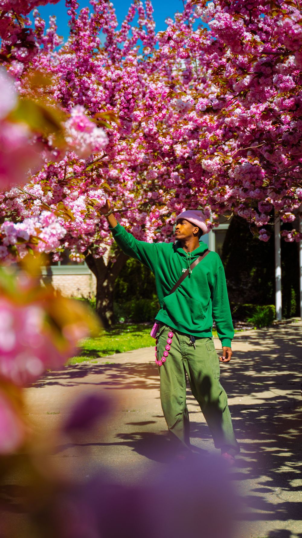 Someone in a bright green hoodie reaches up to touch pink cherry blossoms blooming on a tree along a sunny sidewalk.