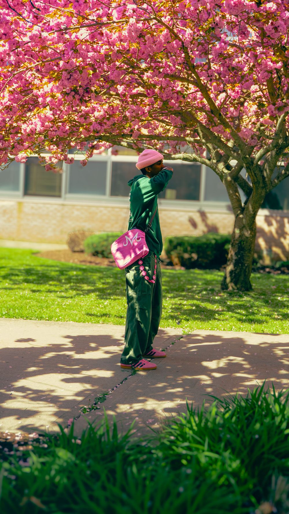 A person in green clothing stands under blooming pink cherry blossoms on a sunny spring day.