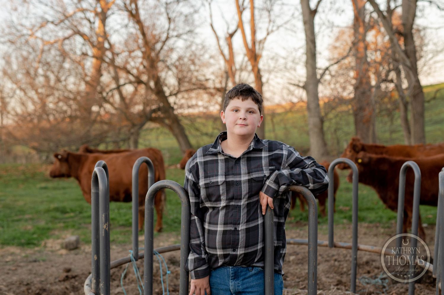 Person poses by metal livestock gates with brown cattle grazing in the background at sunset.