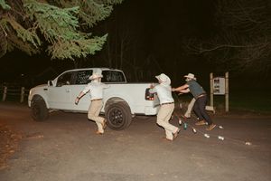 People having fun at night around a white pickup truck in a wooded area.