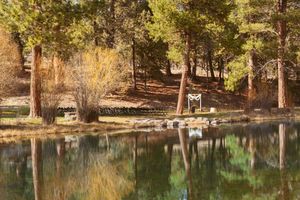 Serene lake reflects trees and benches in afternoon light at rustic woodland venue.