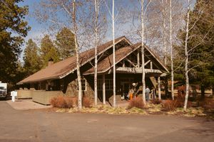 Rustic wooden lodge with timber frame entrance surrounded by birch trees and natural landscaping.