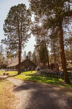 Rustic cabin nestled among tall pine trees with sunlight streaming through branches on a winding forest path.