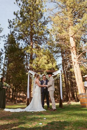 Rustic outdoor wedding ceremony beneath tall pine trees with simple white fabric arch.