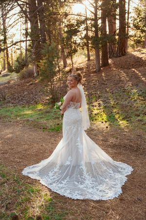 A stunning lace wedding dress with long train photographed in a sunlit forest setting during golden hour.