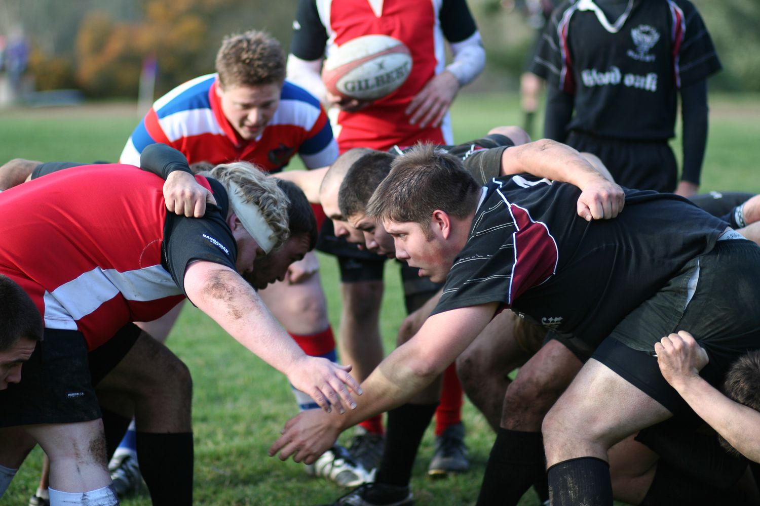 Rugby players engage in a scrum formation during an outdoor match, pushing against each other in athletic gear.