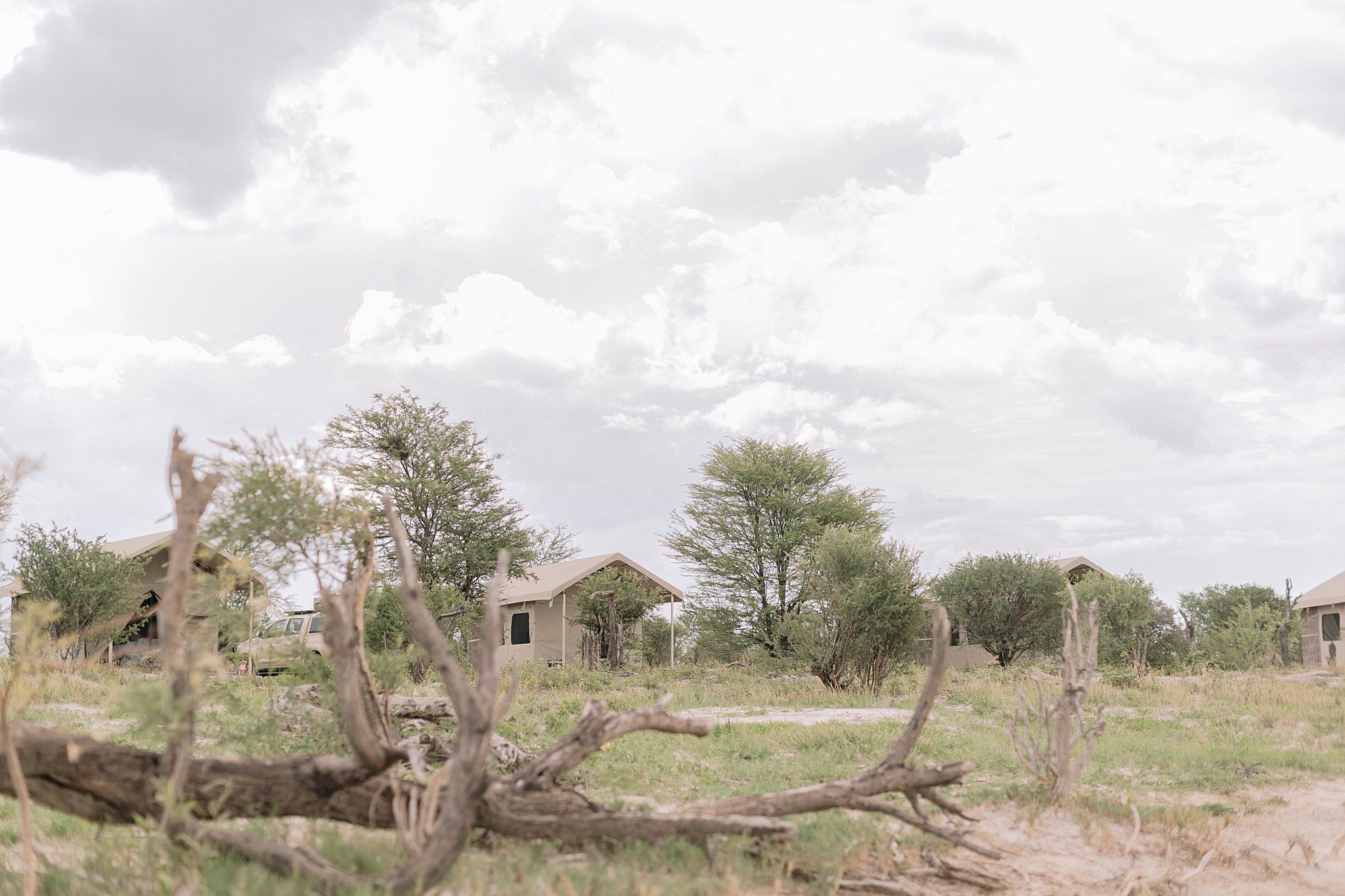 Rustic abandoned buildings surrounded by sparse trees and fallen logs in an arid African savanna landscape.