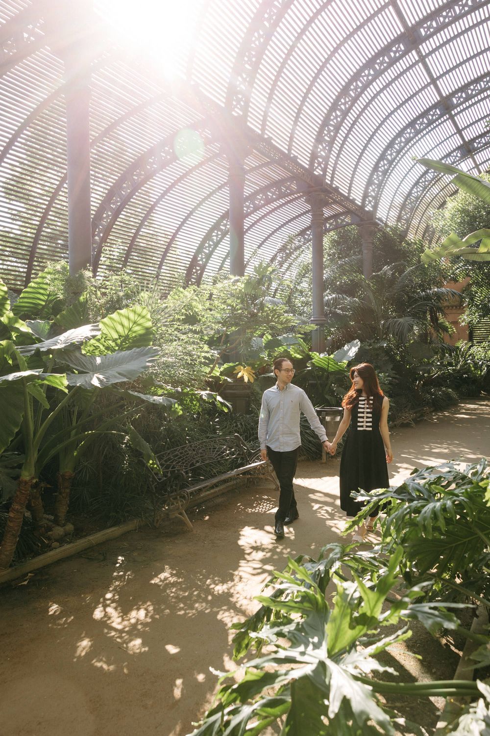 Sunlit greenhouse interior with tropical plants and walking paths under curved glass ceiling.