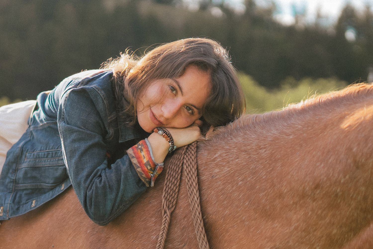 Series of intimate portraits with a brown horse in natural outdoor setting.