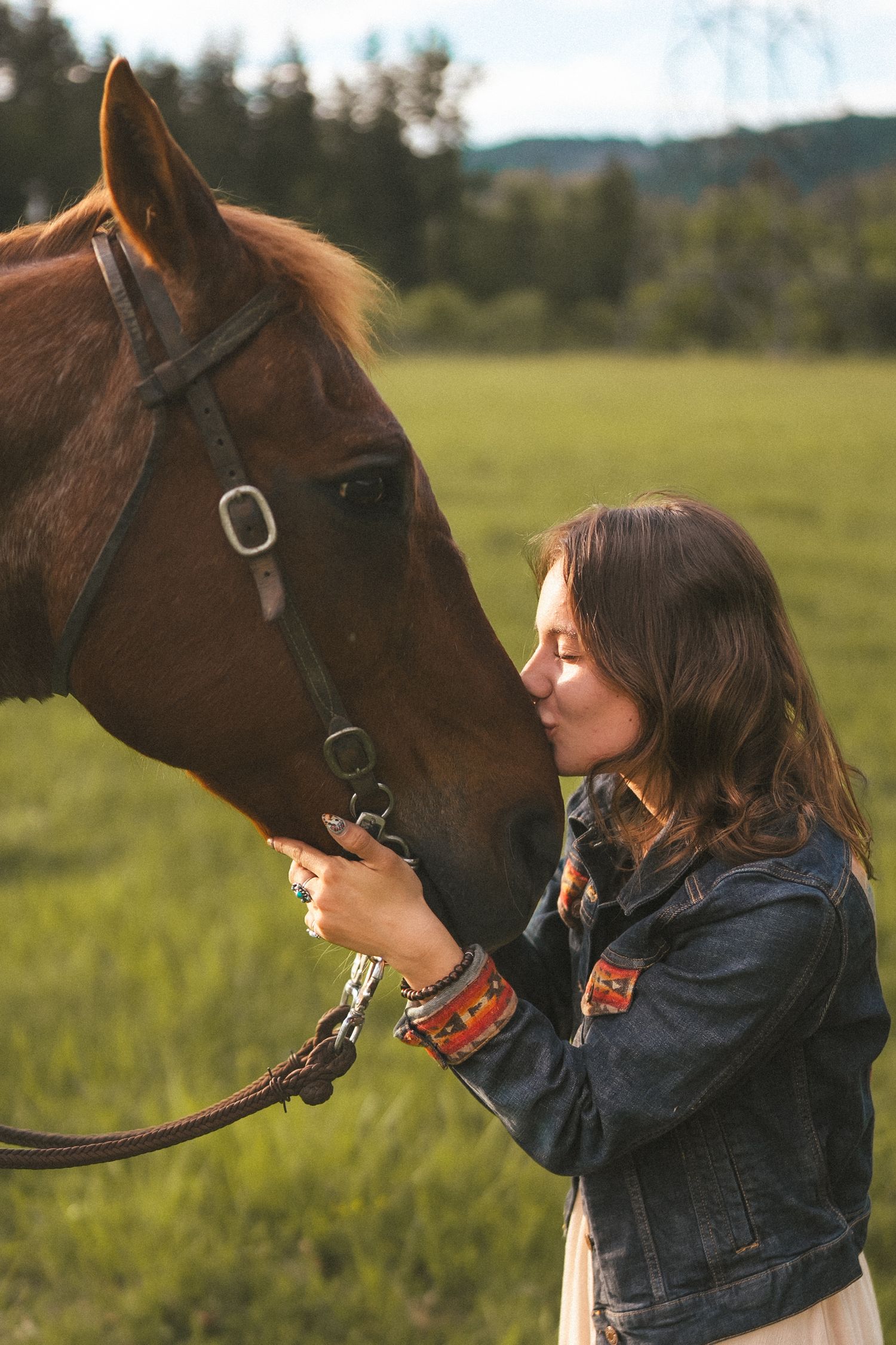 Person sharing tender moments with horse in sunlit field.