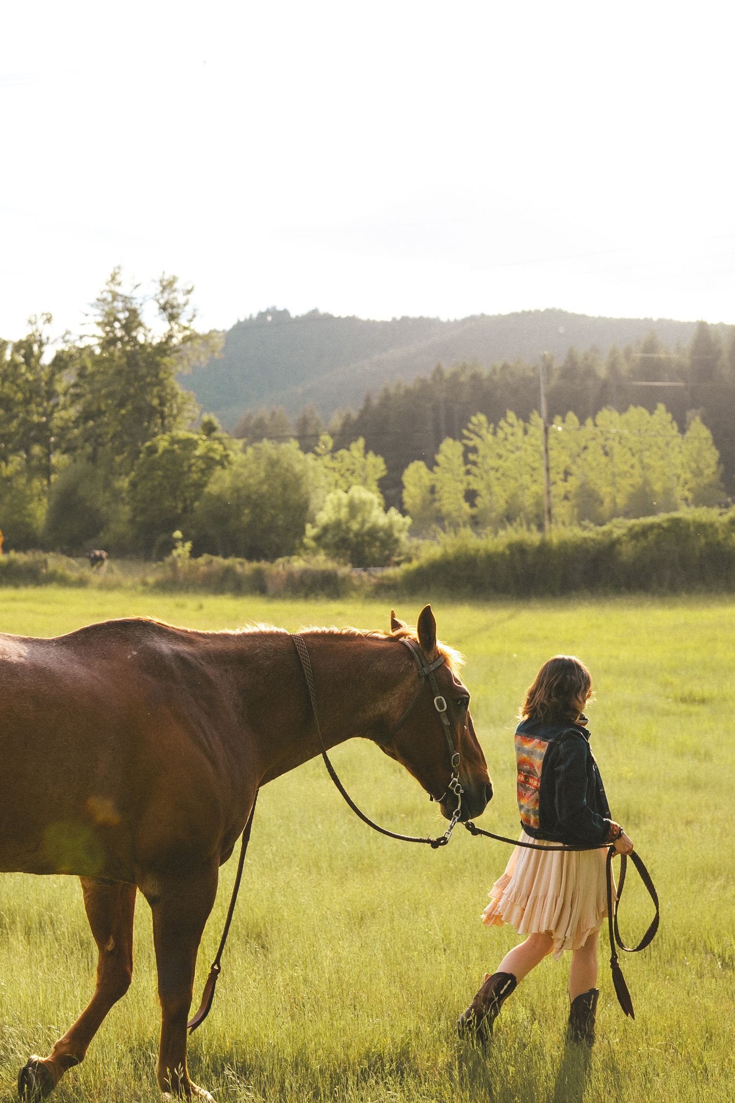 Brown horse and person walking through sunny meadow with mountain backdrop.