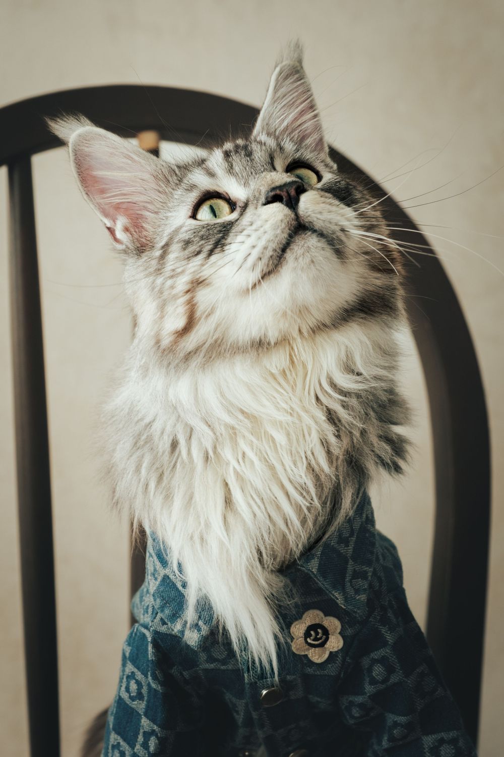 獨寵套餐